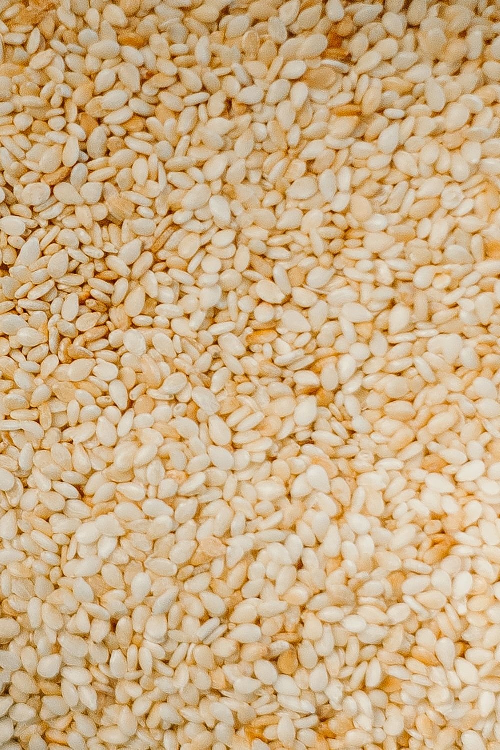 Sesame and oilseeds